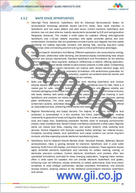 サンプル1：電子フッ化水素酸市場：グレード別、タイプ別、用途別、地域別 - 2030年までの予測