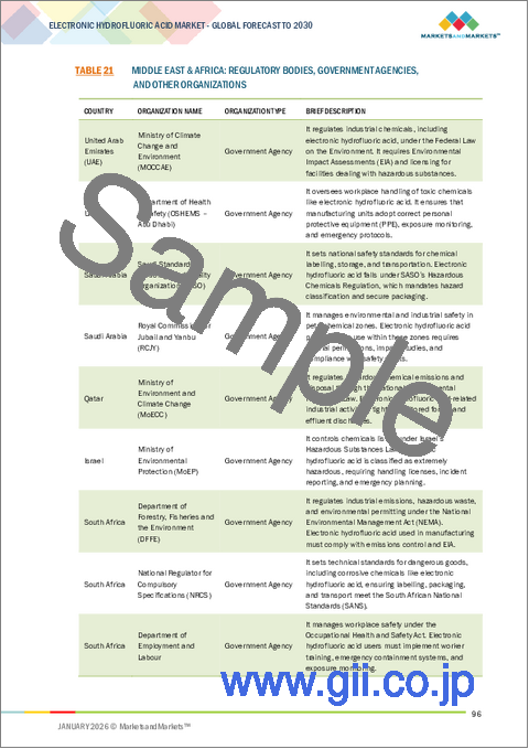 サンプル2：電子フッ化水素酸市場：グレード別、タイプ別、用途別、地域別 - 2030年までの予測