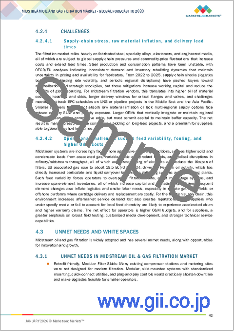 サンプル1：中流石油・ガスろ過市場：ろ過技術別、ろ材別、用途別、ろ過段階別、エンドユーザー別、地域別 - 2030年までの予測
