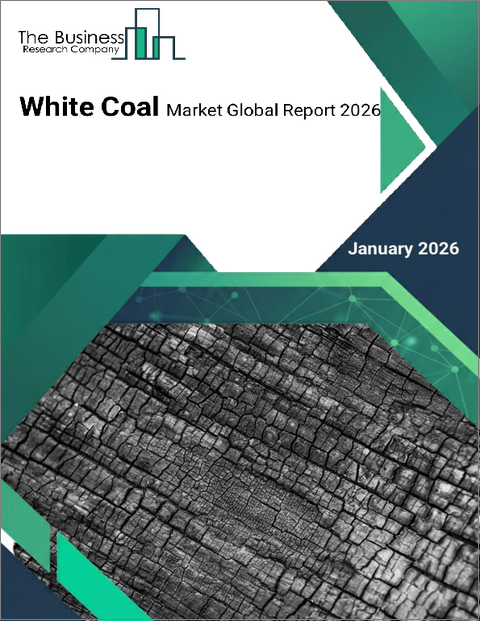 表紙：白炭の世界市場レポート 2026年