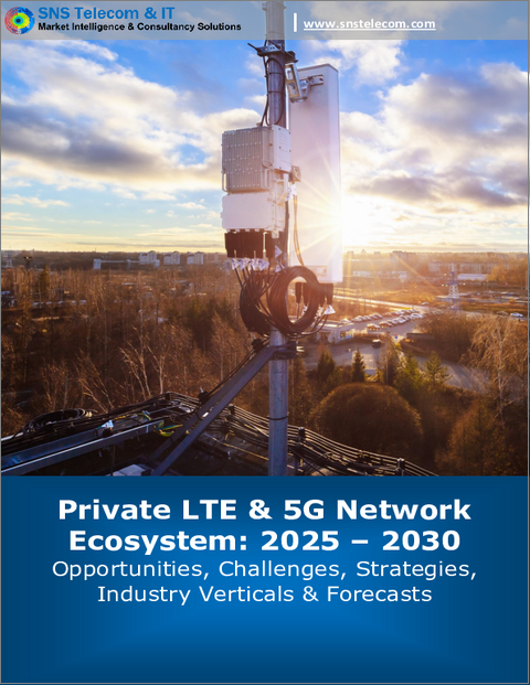 表紙：重要通信向けLTE・5G（2025年～2030年）- 機会、課題、戦略、予測