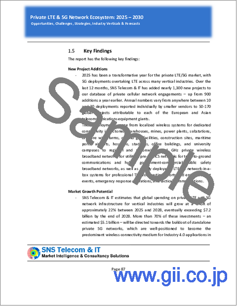 サンプル2：重要通信向けLTE・5G（2025年～2030年）- 機会、課題、戦略、予測