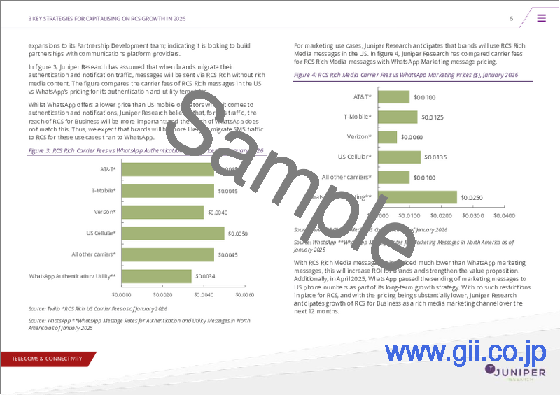 サンプル1:企業向けRCS市場:2026~2030年