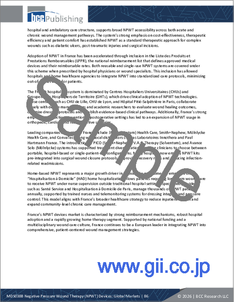 サンプル2:陰圧閉鎖療法 (NPWT) デバイス:世界市場