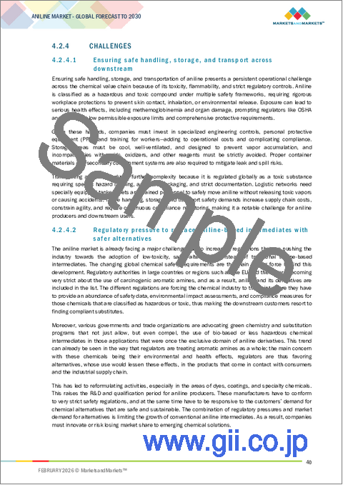 サンプル1：アニリンの世界市場：技術別、用途別、エンドユーザー別、地域別 - 2030年までの予測