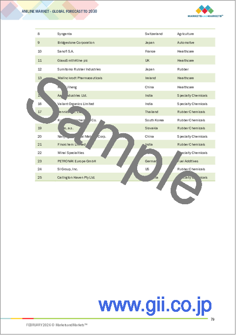サンプル2：アニリンの世界市場：技術別、用途別、エンドユーザー別、地域別 - 2030年までの予測