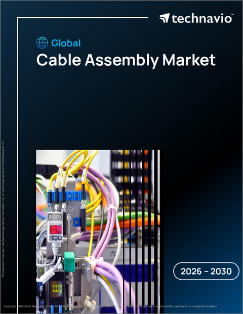 表紙:ケーブルアセンブリーの世界市場 2026年~2030年