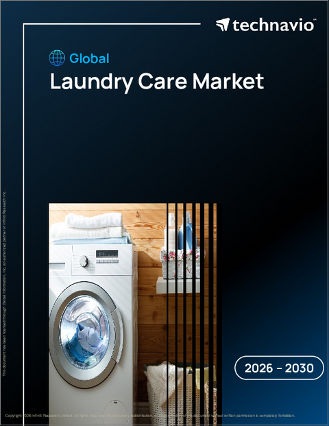 表紙：ランドリーケアの世界市場 2026年～2030年