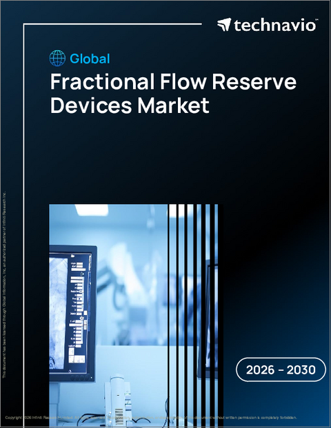 表紙：分数流量予備装置の世界市場 2026年～2030年