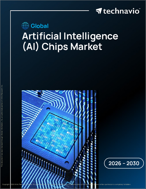 表紙：人工知能（AI）チップの世界市場 2026年～2030年