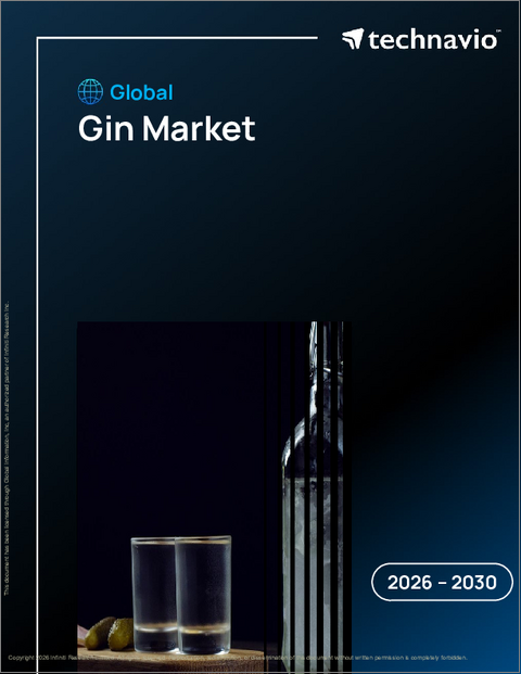 表紙：ジンの世界市場 2026年～2030年