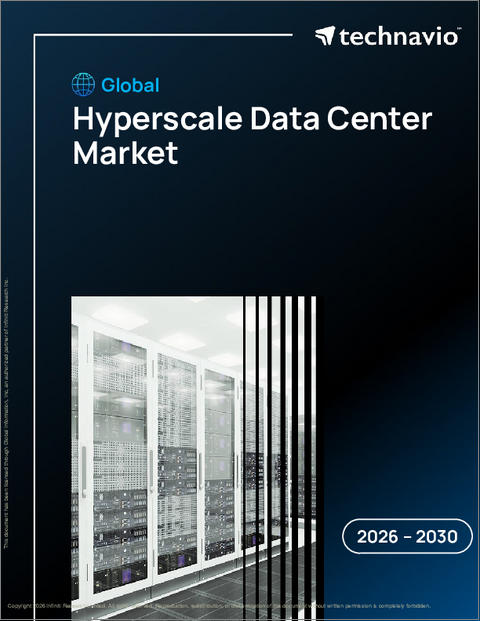 表紙：ハイパースケールデータセンターの世界市場 2026年～2030年