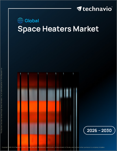 表紙：宇宙用ヒーターの世界市場 2026年～2030年