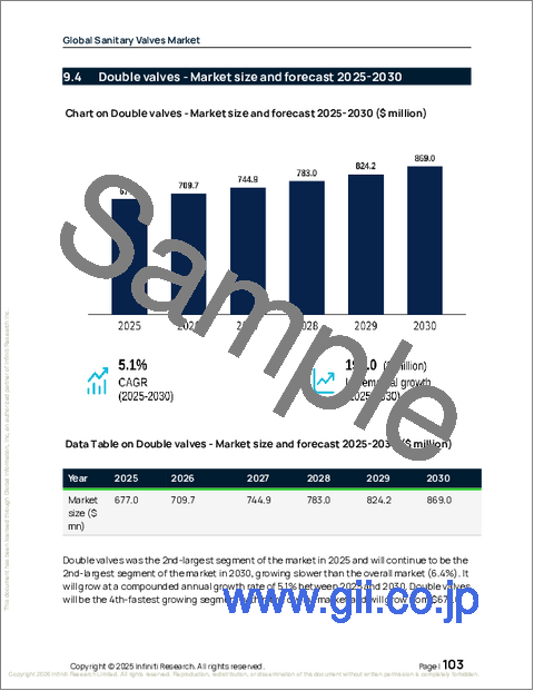 サンプル2：衛生用バルブの世界市場 2026年～2030年
