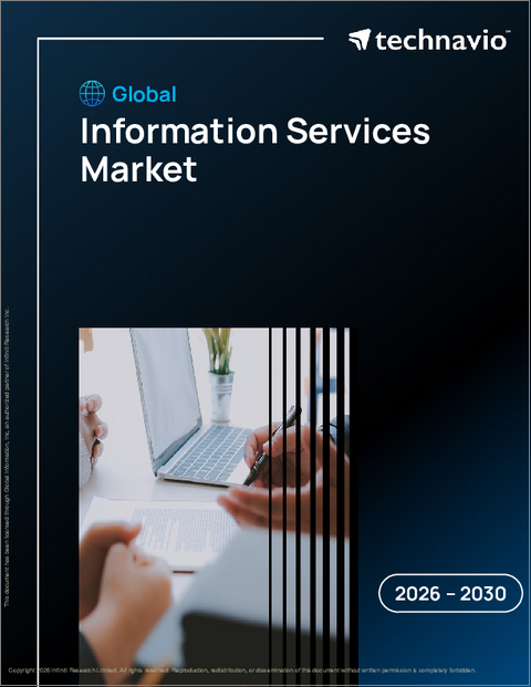 表紙：情報サービスの世界市場 2026年～2030年