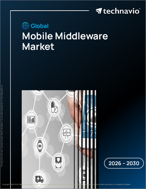 表紙：モバイルミドルウェアの世界市場 2026年～2030年