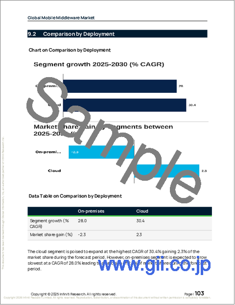 サンプル2：モバイルミドルウェアの世界市場 2026年～2030年
