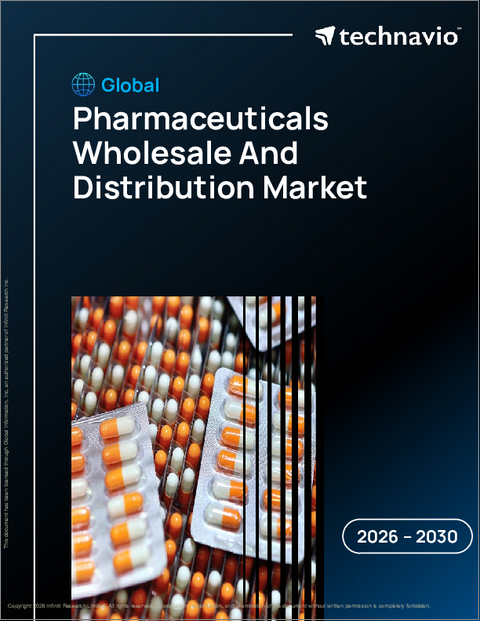 表紙：医薬品卸売および流通の世界市場 2026年～2030年