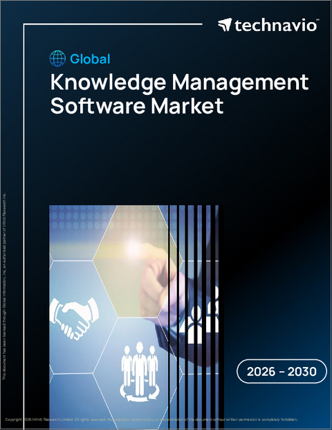 表紙：知識管理ソフトウェアの世界市場 2026年～2030年