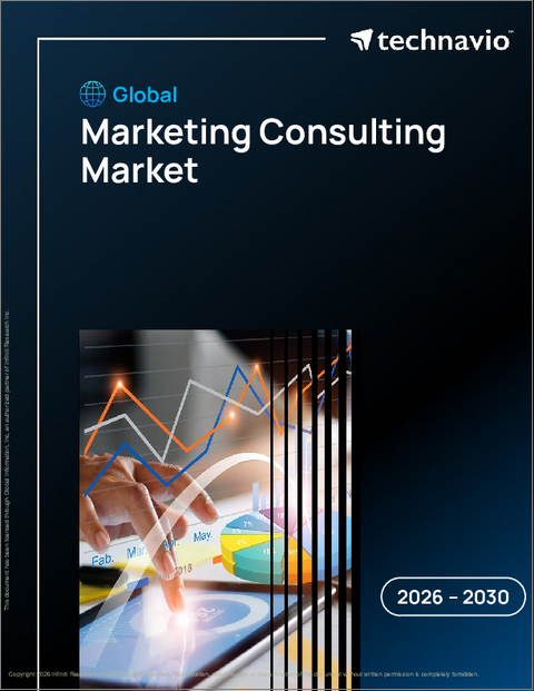 表紙:マーケティングコンサルティングの世界市場 2026年~2030年