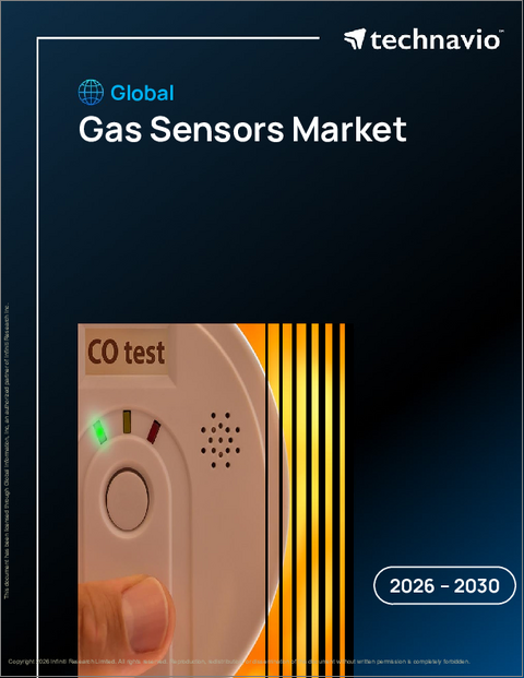 表紙：ガスセンサーの世界市場 2026年～2030年