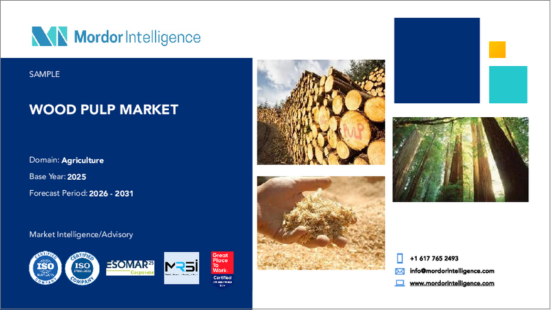 表紙：木材パルプ：市場シェア分析、業界動向と統計、成長予測（2026年～2031年）