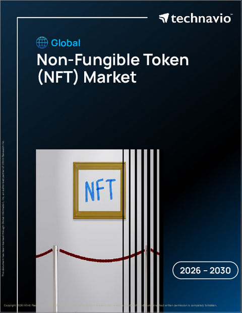 表紙：非代替性トークン（NFT）の世界市場 2026年～2030年