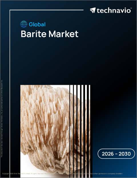 表紙：バライトの世界市場 2026年～2030年