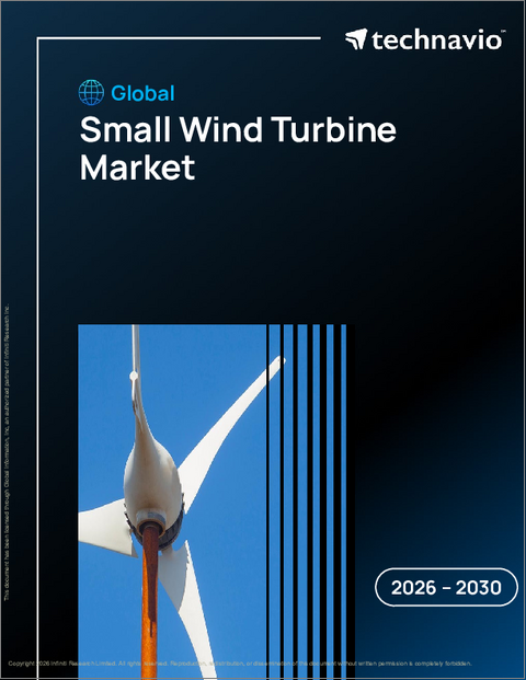 表紙：小型風力タービンの世界市場 2026年～2030年