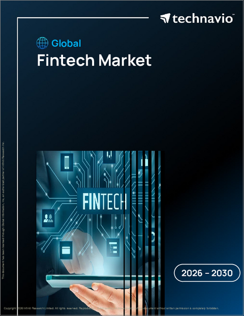 表紙：フィンテックの世界市場 2026年～2030年