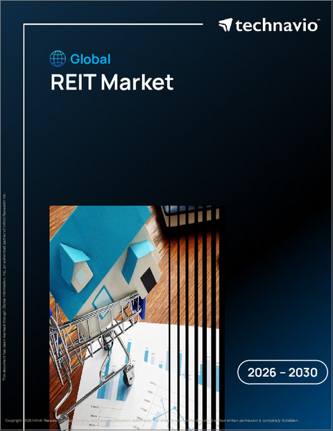 表紙：リートの世界市場 2026年～2030年