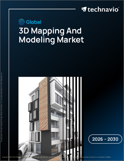 表紙：3Dマッピングとモデリングの世界市場 2026年～2030年