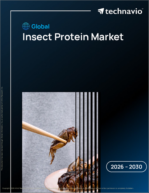 表紙：昆虫タンパク質の世界市場 2026年～2030年