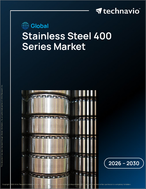 表紙：ステンレス鋼400シリーズの世界市場 2026年～2030年