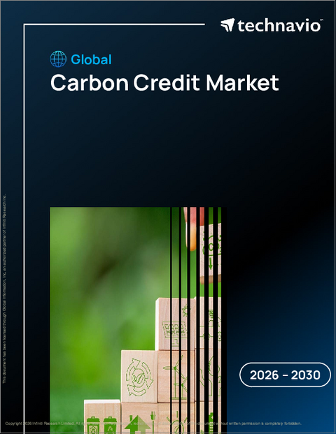 表紙：カーボンクレジットの世界市場 2026年～2030年