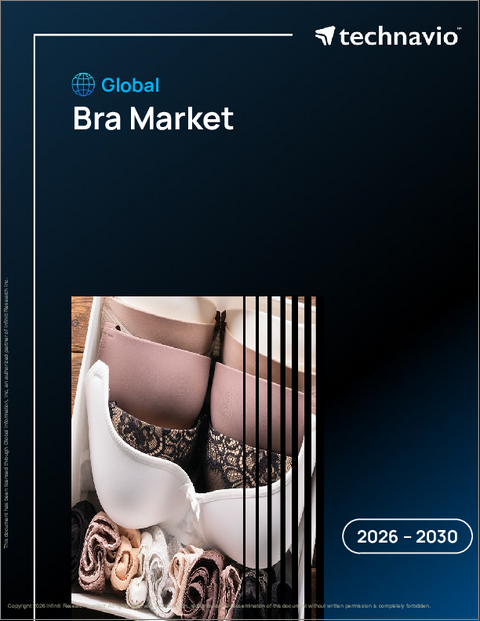 表紙：ブラの世界市場 2026年～2030年