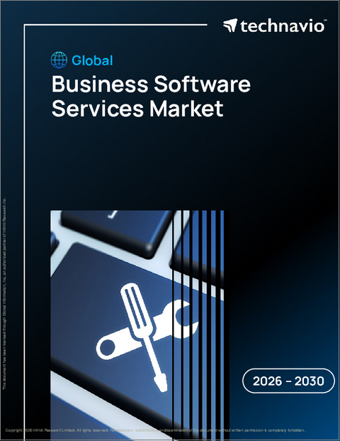 表紙：ビジネスソフトウェアサービスの世界市場 2026年～2030年