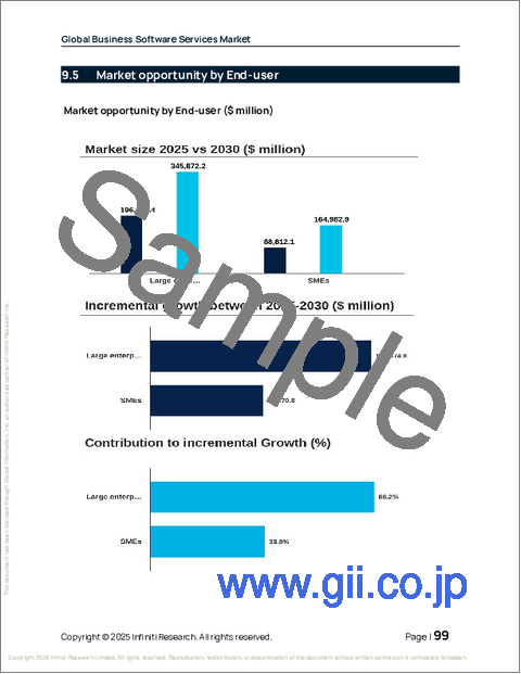 サンプル2：ビジネスソフトウェアサービスの世界市場 2026年～2030年