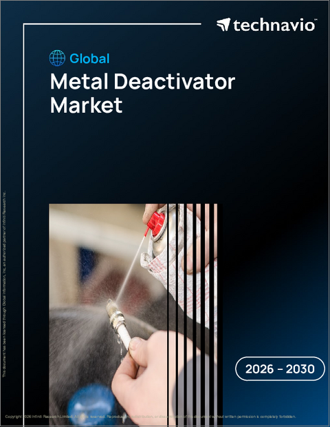 表紙：金属不活性化剤の世界市場 2026年～2030年