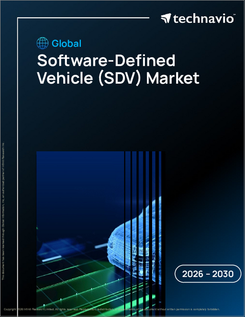 表紙：ソフトウェア定義車両（SDV）の世界市場 2026年～2030年
