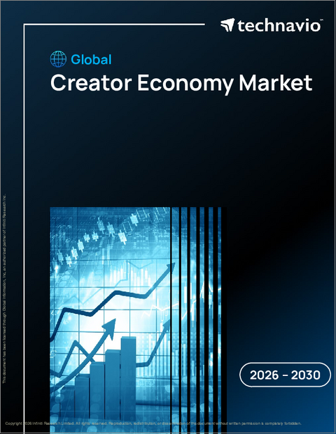 表紙：クリエイターエコノミーの世界市場 2026年～2030年