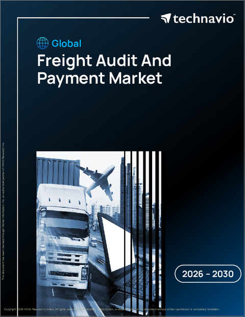 表紙：貨物監査と支払いの世界市場 2026年～2030年