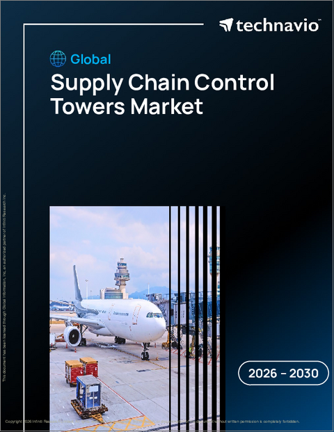 表紙:サプライチェーンコントロールタワーの世界市場 2026年~2030年
