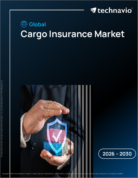 表紙：貨物保険の世界市場 2026年～2030年