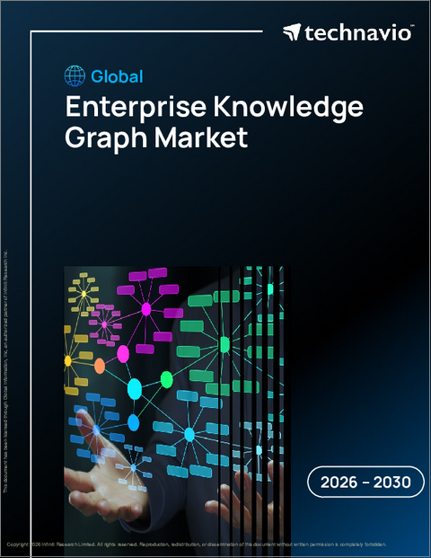 表紙：エンタープライズ知識グラフの世界市場 2026年～2030年