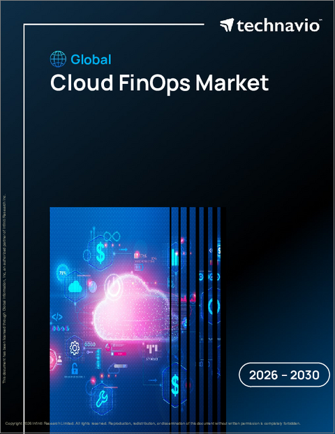 表紙：クラウドFinopsの世界市場 2026年～2030年