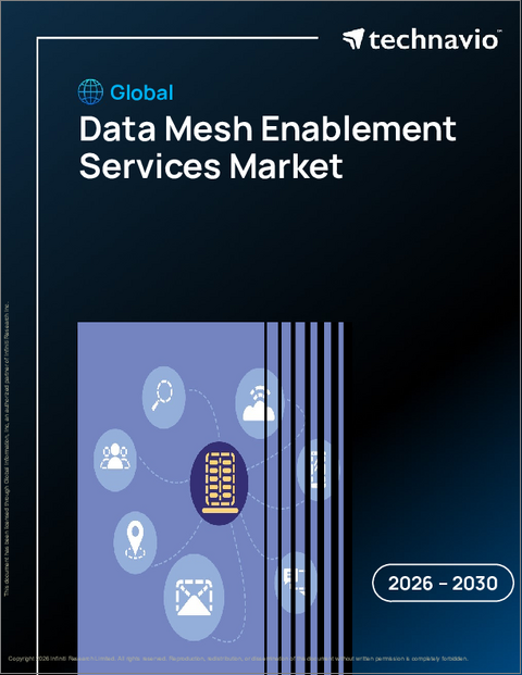 表紙：データメッシュ促進サービスの世界市場 2026年～2030年