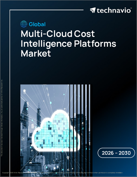 表紙：マルチクラウドコストインテリジェンスプラットフォームの世界市場 2026年～2030年
