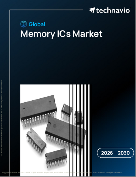 表紙：メモリーICの世界市場 2026年～2030年