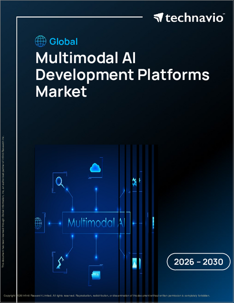 表紙：マルチモーダルAI開発プラットフォームの世界市場 2026年～2030年